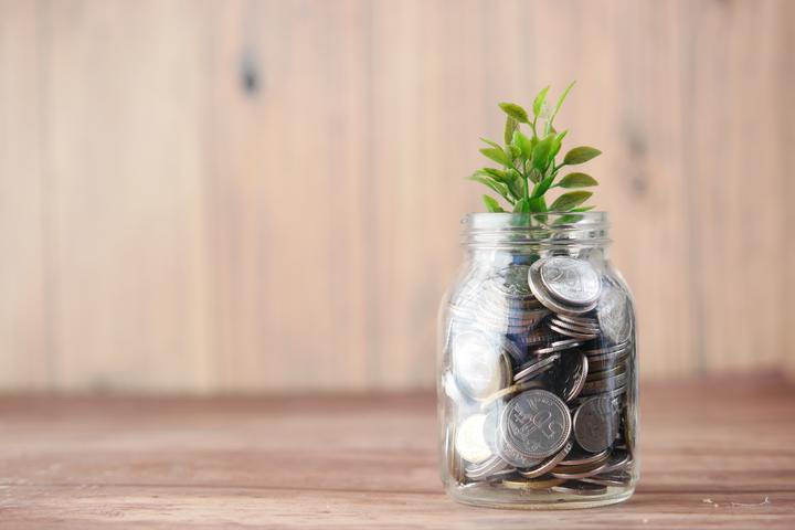 Plant growing out of a jar of coins