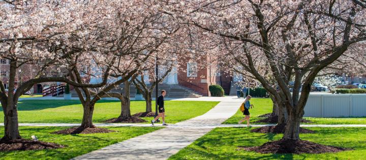 Two Hood students walk across campus, surrounded by pink blossoms, on a spring day in front of the Coffman Chapel
