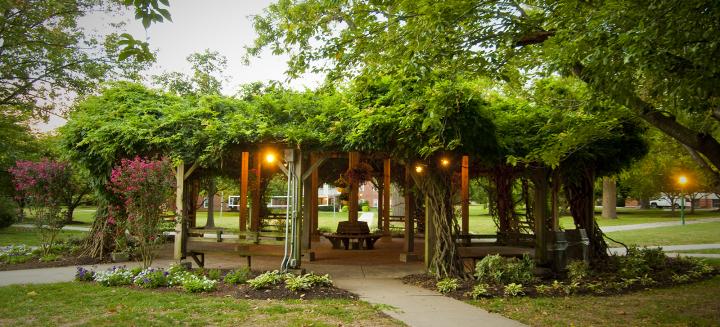 spring pergola