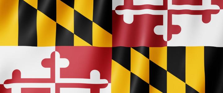 Maryland flag