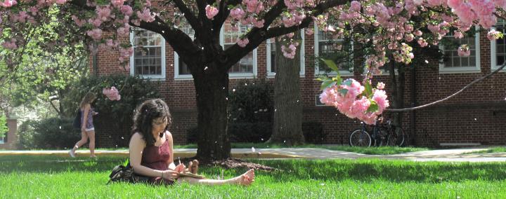 uncw creative writing mfa