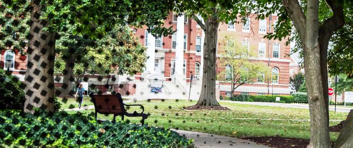 Bench