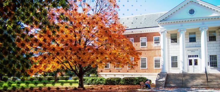 Fall