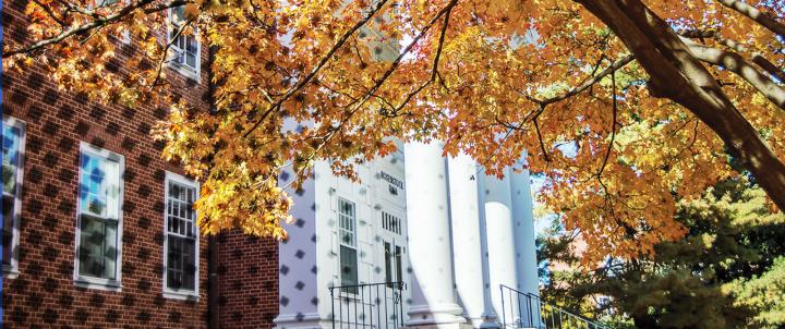 Fall