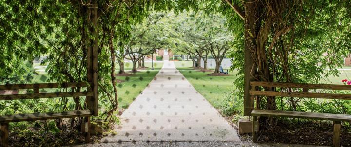 Pergola