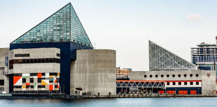 National Aquarium, Baltimore, MD