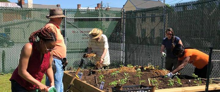 Gardening