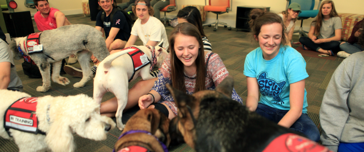 Students with stress buster therapy dogs