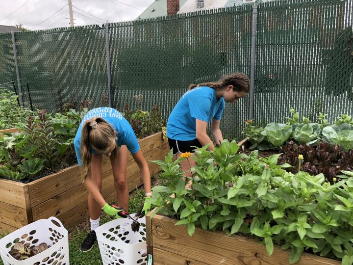 garden volunteers