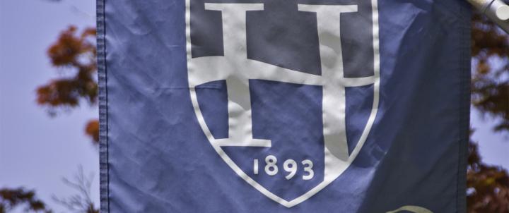 Hood flag