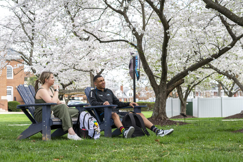 Students interacting in chairs on the quad of hood college.