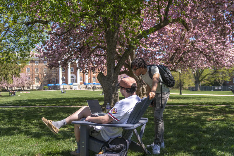 Students in Quad Interacting